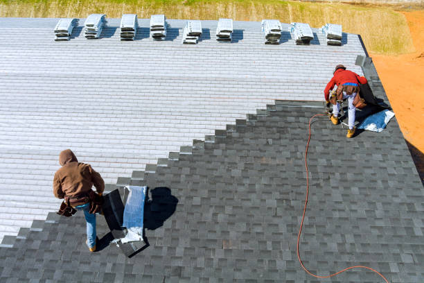 Roof Gutter Cleaning in Mount Airy, GA